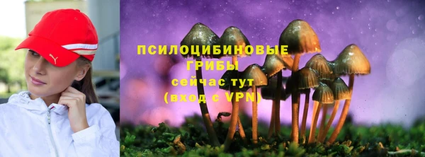амф Горняк