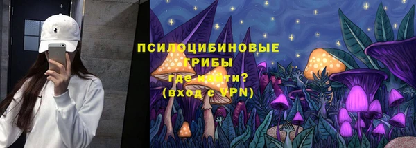 амф Горняк