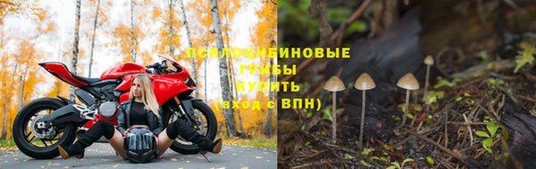МДПВ Горно-Алтайск
