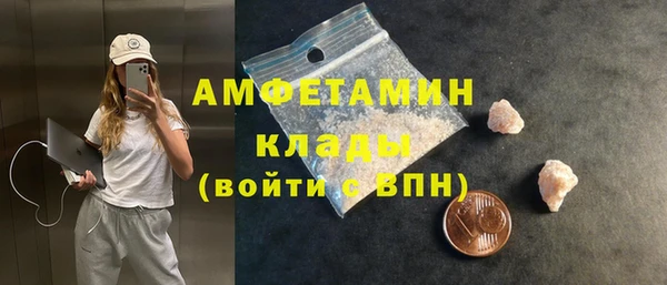 амф Горняк